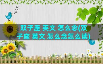 双子座 英文 怎么念(双子座 英文 怎么念怎么读)